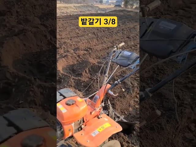 2025년 농사 시작. 초보농부의 주말농장 브이로그