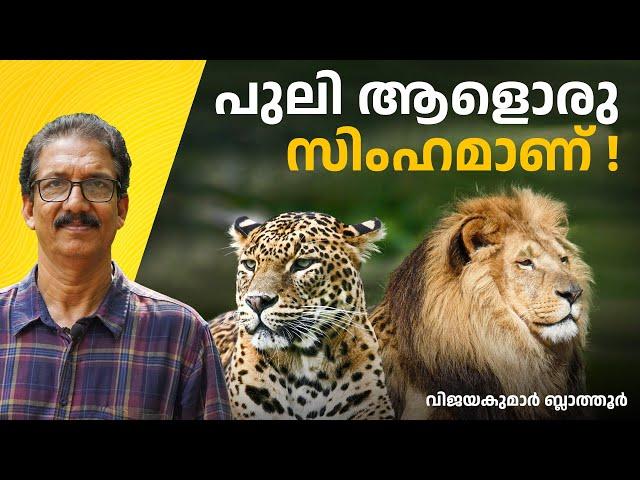 പുലിയുടെ അടുത്ത ബന്ധു സിംഹമാണ് , കടുവയല്ല leopard is closely related to the lion #പുലി #animalsfacts