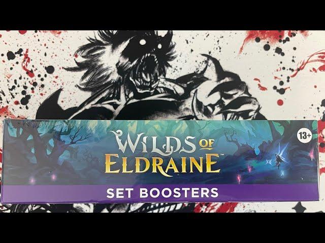 Wilds of Eldraine Set Box Opening #5 - This Box Brought the Goods!