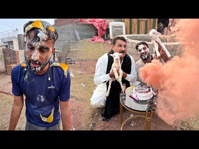 Baby Goats Or Turab ki Birthday Day Abu K sath celebrate Ki