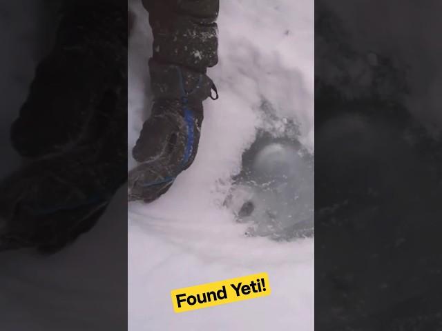 Found a Yeti Under the Ice!