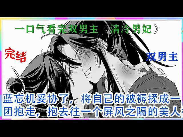 一口气看完双男主《清冷男妃》二人你看着我，我看着你，最后蓝忘机妥协了，将自己的被褥揉成一团抱走，抱去往一个屏风之隔的美人榻上