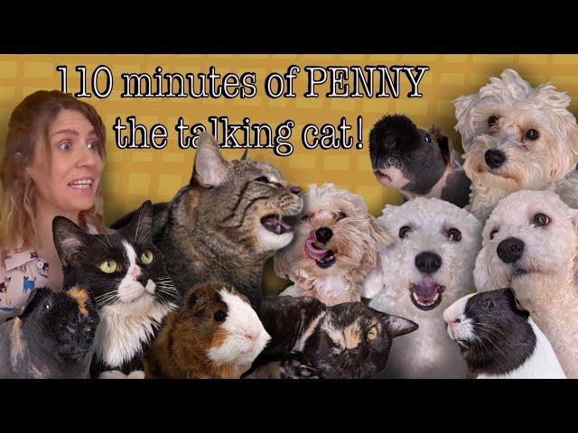 110 minutes of PENNY THE TALKING CAT!