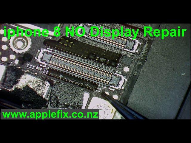 iphone turns on but No Display Repair | iphone repair hamilton New Zealand | AppleFix New Zealand