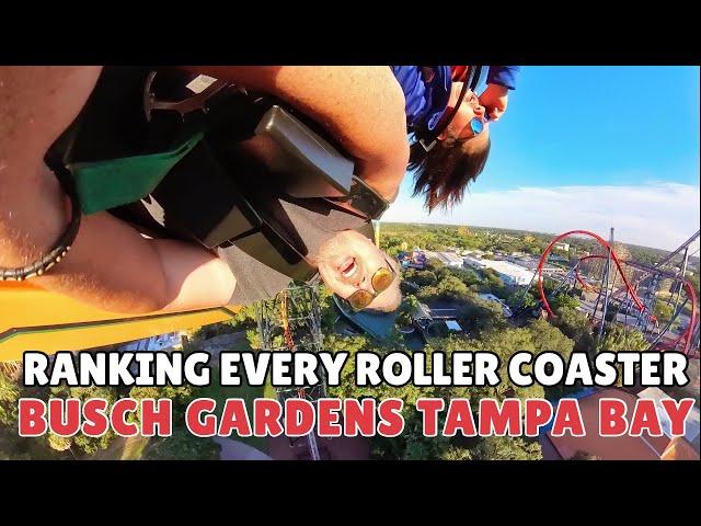 We ranked every Roller Coaster at Busch Gardens Tampa Bay