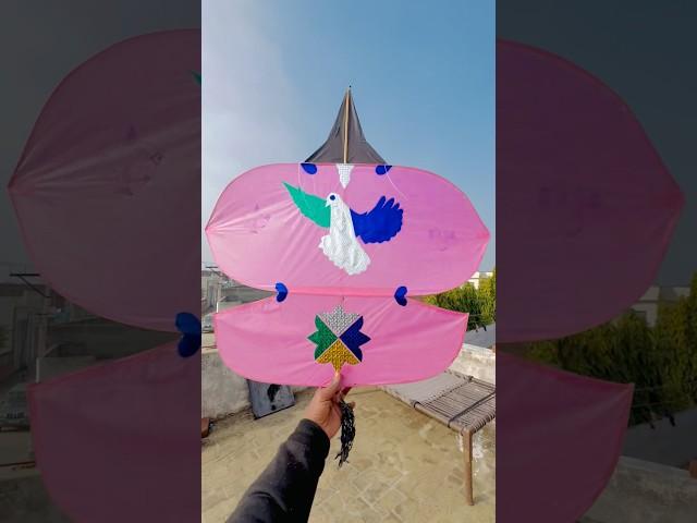 BEST TUKAL KITE (Patang)  #shorts #pkcrazyexperiments