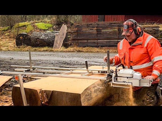 Milling a 105cm Wide Elm Log with Granberg Alaskan Mill & Stihl MS881!