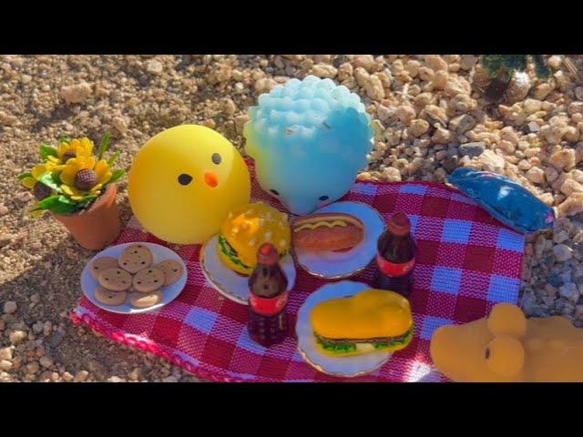 ASMR Mochi Squishy  Camping & Picnic Adventure