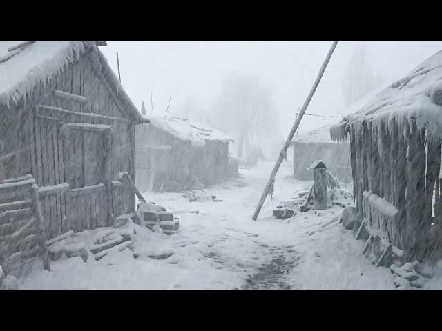 Heavy snowstorm somewhere in Siberia┇Blizzard Sounds for Sleeping┇Howling Wind & Blowing Snow