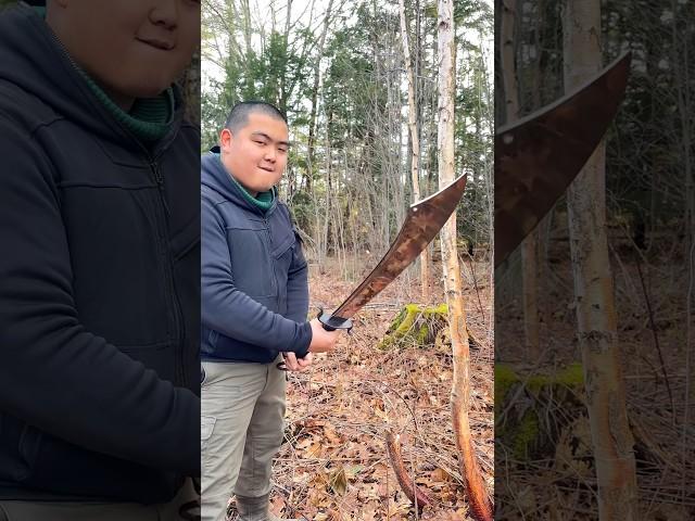 Comparing $300 Chinese war swords with $30 machete. #shorts #knife