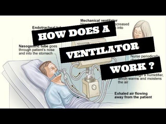 How does a ventilator work ? Elon Musk donates 1,255 ventilators to LA