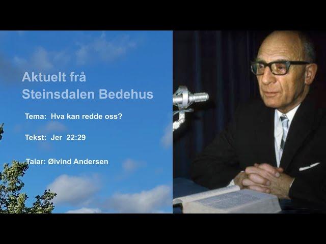 Øivind Andersen: Hva kan redde oss?