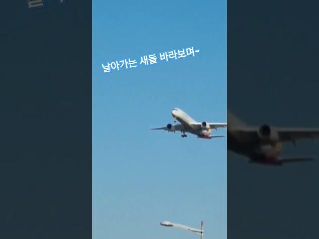 #한국힐링대학교#한국웰다잉협회#힐링강사양성국내1위#힐링마켓#인생2막#100세현역#뇌힐링건강지도사