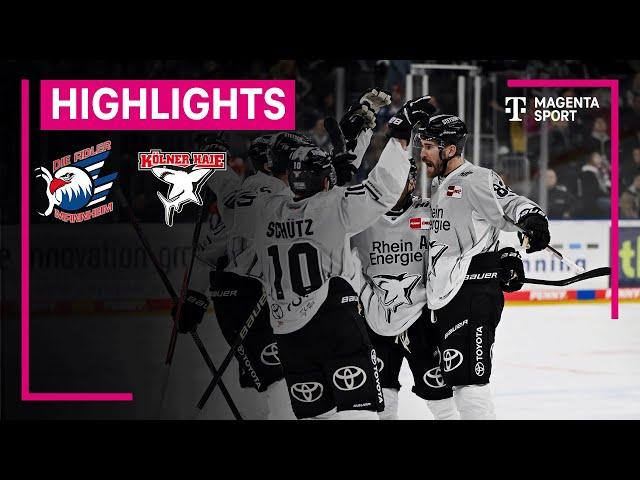 Adler Mannheim - Kölner Haie | PENNY DEL | MAGENTA SPORT