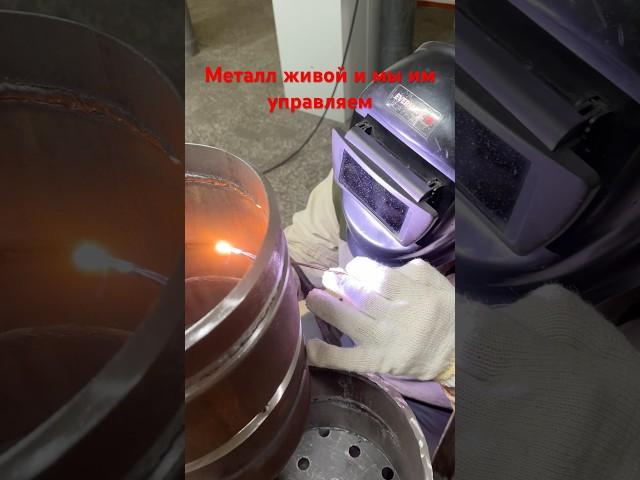 Tig Корень Горизонт Металл Живой 