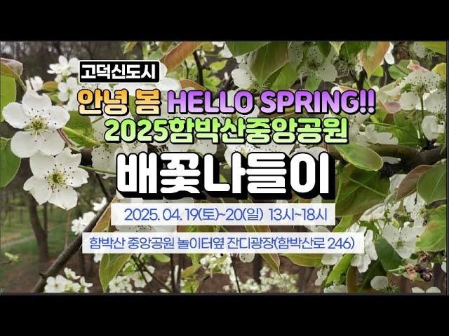 고덕신도시 함박산중앙공원 2025 배꽃나들이 축제