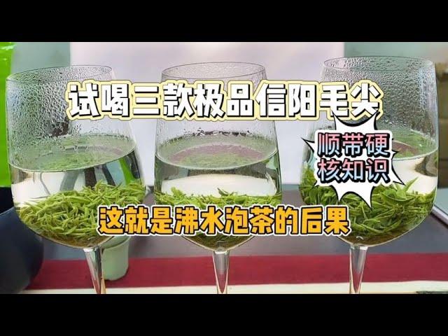 【爱喝茶的小吴】信阳毛尖要变革成功了？试喝新版毛尖，沸水泡完，惨不忍睹