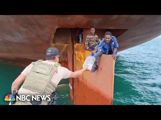 Watch: 4 stowaways rescued from ship's rudder after crossing the Atlantic