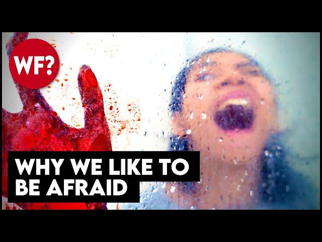 Why We Like To Be Scared | Do You Enjoy Fear?  This video will scare you. 