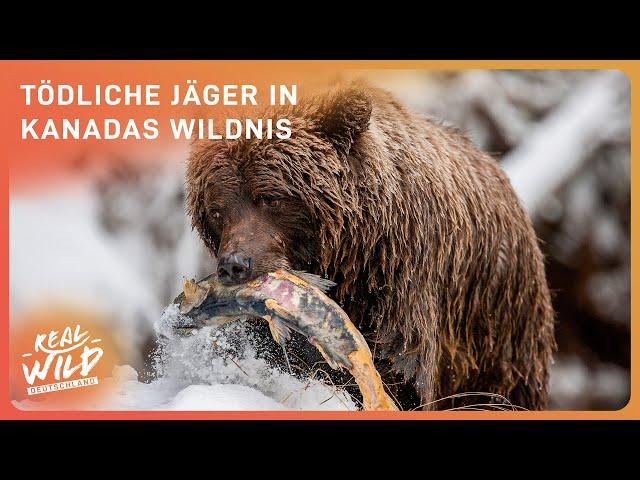 Die tödlichsten Raubtiere Nordamerikas | Real Wild Deutschland