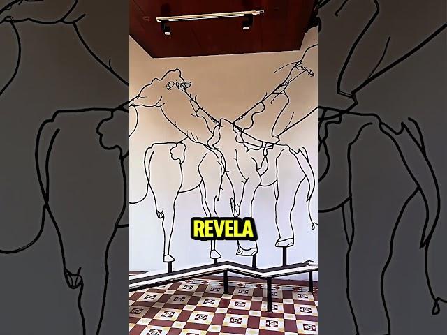 Ilusão de ótica 🫰