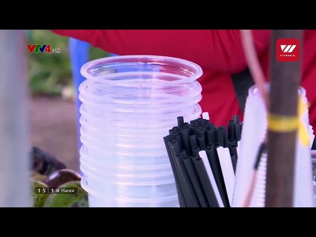 Taking actions to prevent plastic waste | VTV World