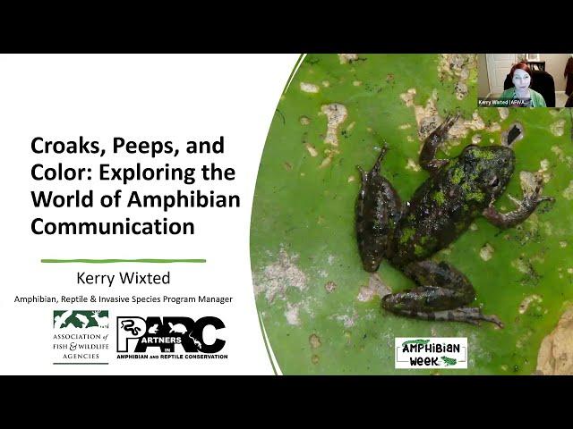 Croaks, Peeps, and Color: Exploring the World of Amphibian Communication