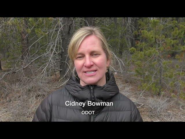 Wildlife Undercrossing in Central Oregon