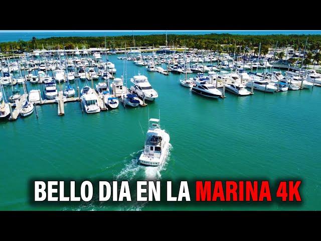 Crandon Park Marina 2022 DRONE 4K