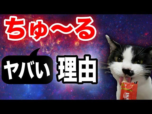 【中毒】ちゅ〜るが美味すぎるヤバい理由を獣医師が解説｜猫のおやつ