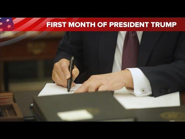 President Trump's and DHS's First Month of Action