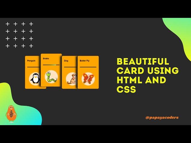 Beautiful Cards Designs Using HTML5 and CSS3 | Web Design Trends | Papaya Coders