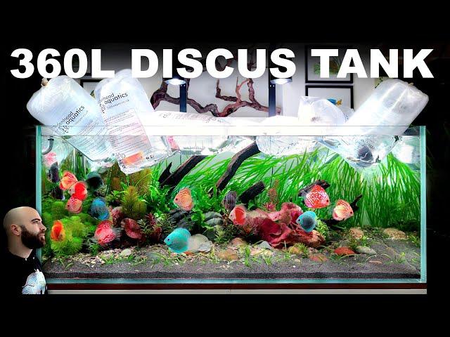 360L Fully Planted Discus Aquarium (EPIC Aquascape Tutorial)