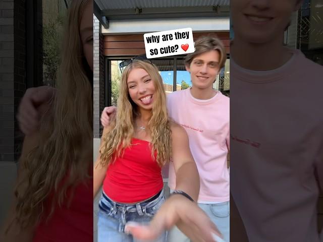 they cute ️ #shorts #viralshorts #tiktok