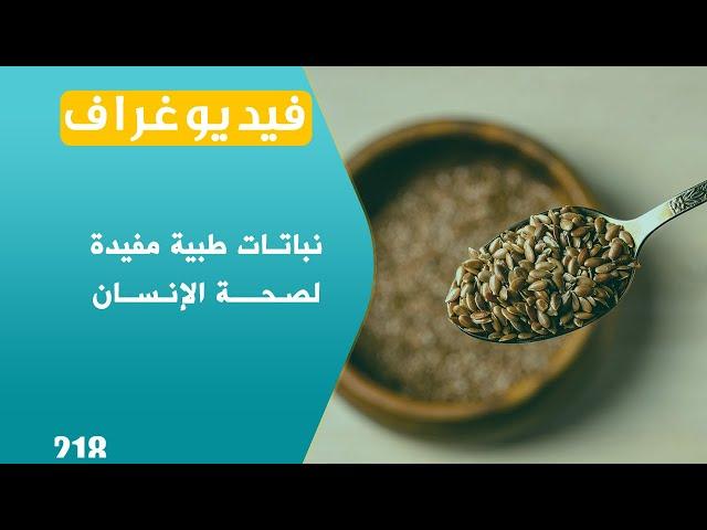 نباتات تقي من السرطان وتحسن قدرة الدماغ | فيديوغراف