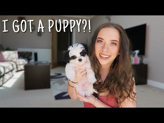 going to get my puppy vlog + his first few days at home