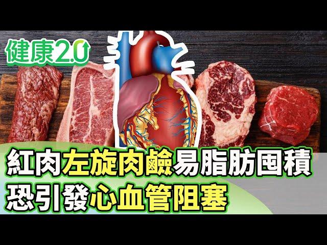 紅肉左旋肉鹼易增脂肪囤積 恐引發心血管阻塞【健康2.0 分段】 @tvbshealth20  EP3024-1  20250517 #陳欣湄 #韋汝 #林謂文#余雅雯#劉怡里#Miya