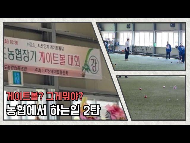 #김대리 | 농협브이로그 | 농협에서 하는일 | 게이트볼대회 | 지역농협인의 하루