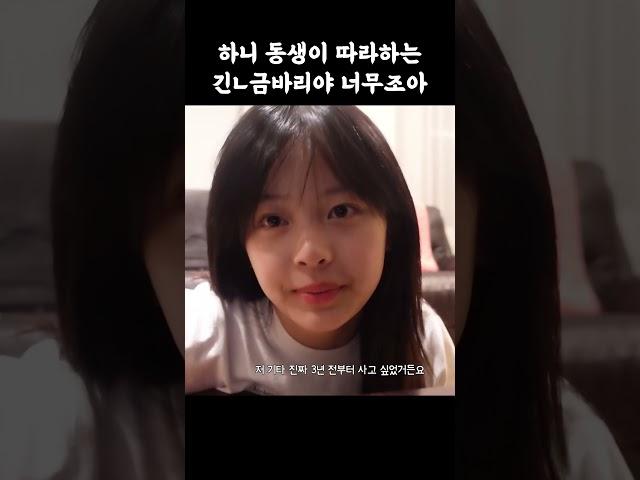 팜하니 동생이 따라하는 긴ㄴ금바리야