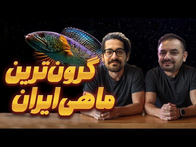 گرون ترین ماهی ایران با یک مهمان ویژه