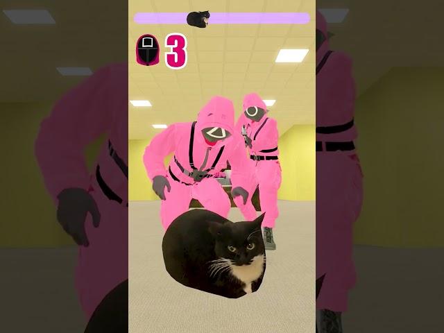 OIIAOIIA Cat in Squid Game Season 2 P3 #squidgame #cat #oiiaoiia  #squidgame2