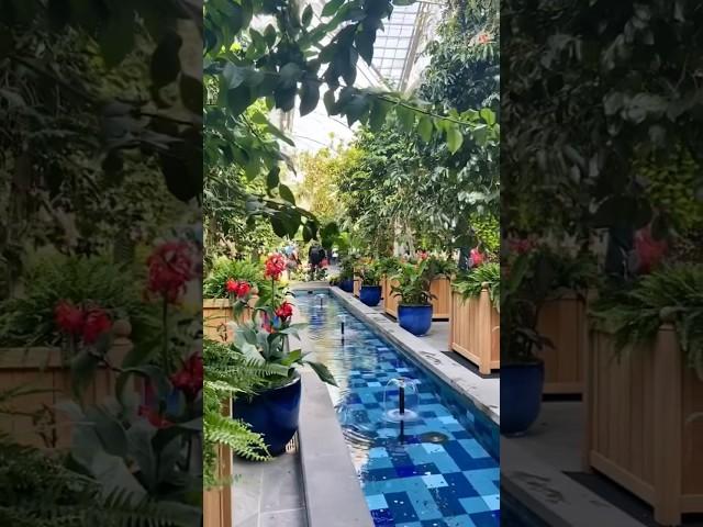 Ew David, of course you can go to Botanic Garden alone. The #USBotanicGarden is free & open daily.