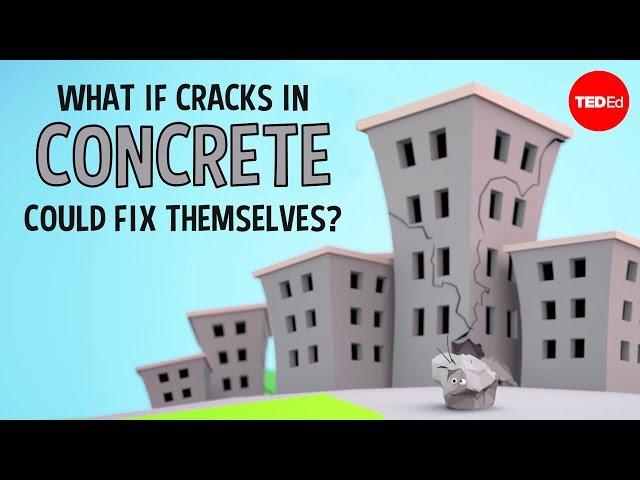 What if cracks in concrete could fix themselves? - Congrui Jin