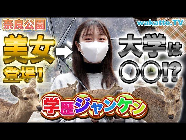 【ふーみん発狂】奈良公園で学歴ジャンケン！【wakatte TV】#705