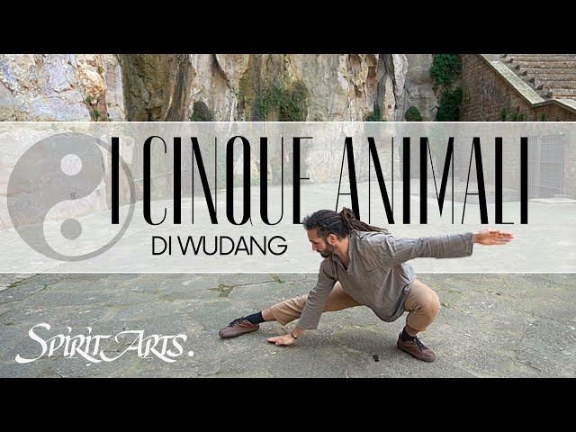 Qi Gong dei Cinque Animali - Stile Wudang - (Wu Qin Xi)