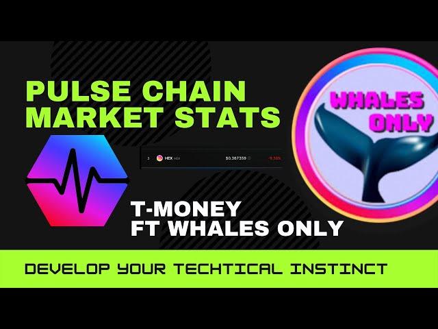 PulseChain will revolutionize the game | Hex stats and predictions with @whalesonly  |Freedomtv.info