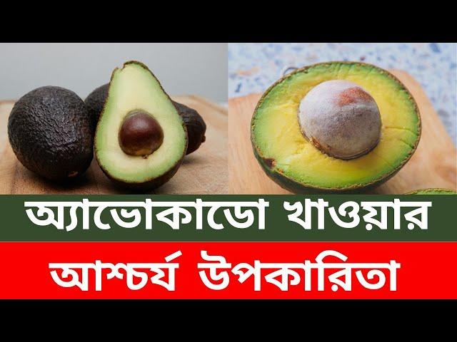 অ্যাভোকাডো  খাওয়ার আশ্চর্য উপকারিতা  | Health Benefits of Avocado | কিভাবে খাবেন অ্যাভোকাডো ফল ?