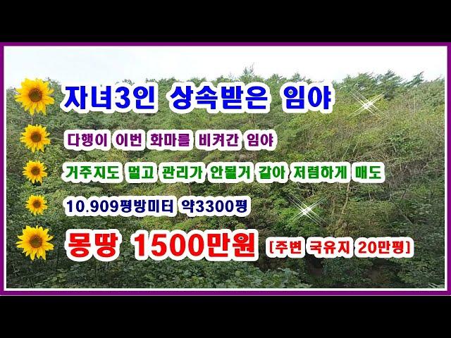 [소액임야] 전기+물+도로 까지 주변으로 국유지 20만평 함께 있는 임야 이번에 상속받아서 거리도멀고 관리도 힘들것 같아 저렴하게 매도 몽당1500만원