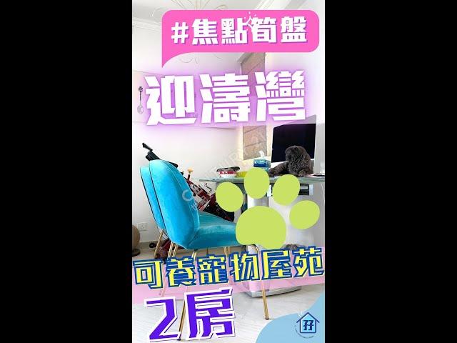 (已出租)焦點筍盤：寵物友善屋苑【#馬鞍山 #迎濤灣】靚裝修 開揚景 #上車換樓  - 地產孖妹 #真心推介  #SHORTS #youtubeshorts