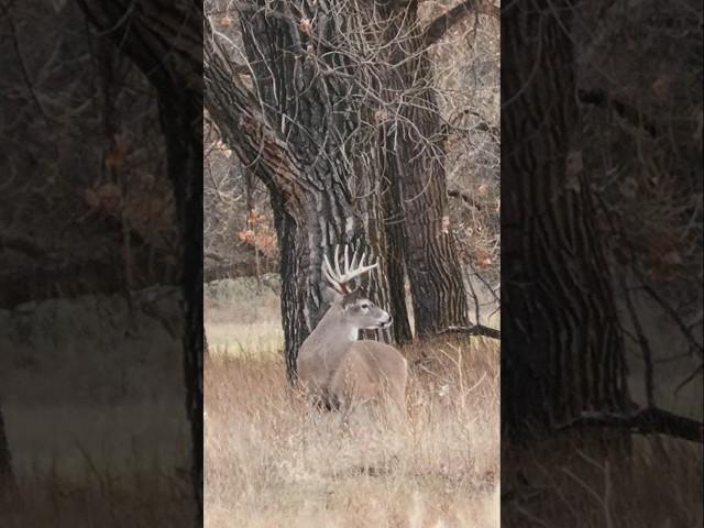 When the GIRLS GO HUNTING
